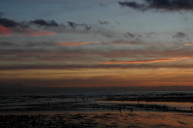 min 2007 11 25 camber plage 070